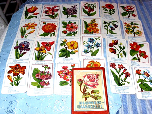 Altes blumen quartett - altes,