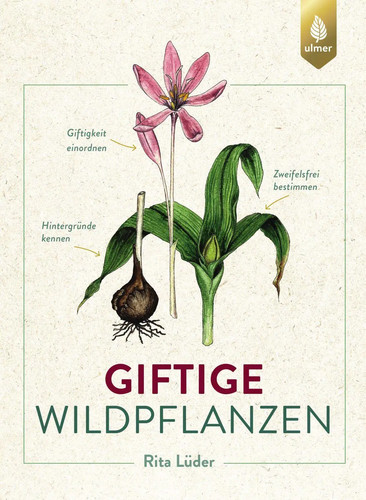 Giftige wildpflanzen rita - wildpflanzen,