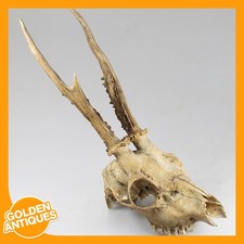 alter Vintage Hirsch Hirsch