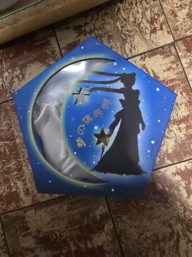 Sailor moon cosplay moonlight - moon,