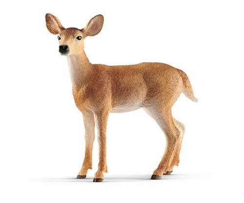 Schleich hirschschwanzjunges - hirschschwanzjunges, 5