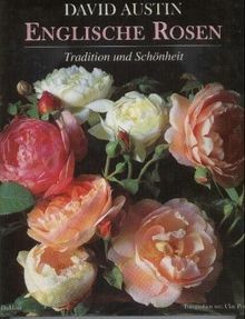 David austins englische - david,