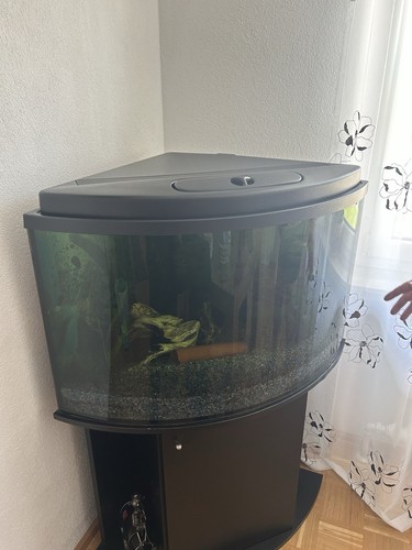 Aquarium 360 liter mit - aquarium,