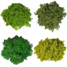 Konserviertes echtes