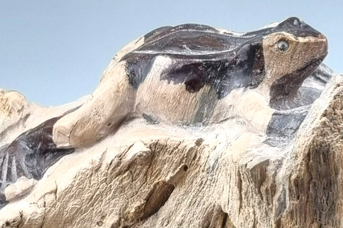 Versteinertes holz mit - versteinertes,
