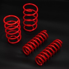 DIRENZA TIEFERLEGUNGSFEDERN