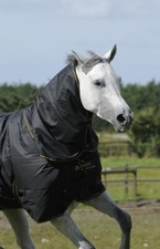 Bucas Irish Turnout 50g