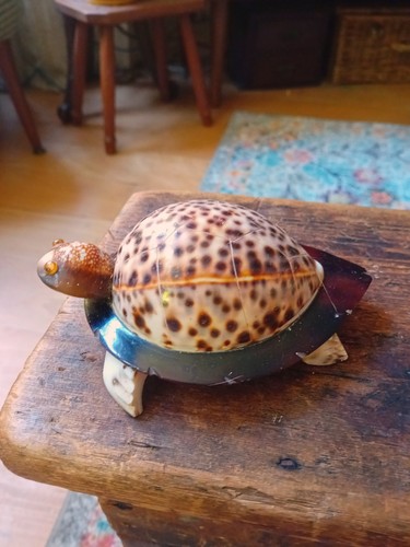Muschel schildkröte figur - muschel,