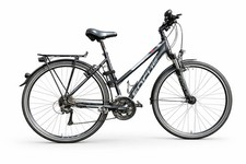 Damenrad Focus Wasgo 28 Zoll