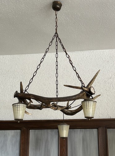 Hirsch geweihlampe - hirsch,