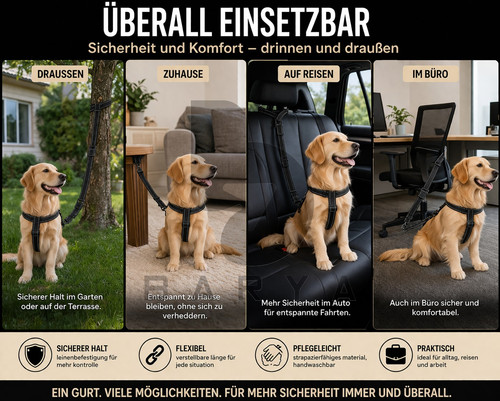 Hund anschnallgurt auto - hund,
