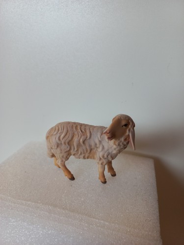 Schaf schauend königliche - schaf, schauend,