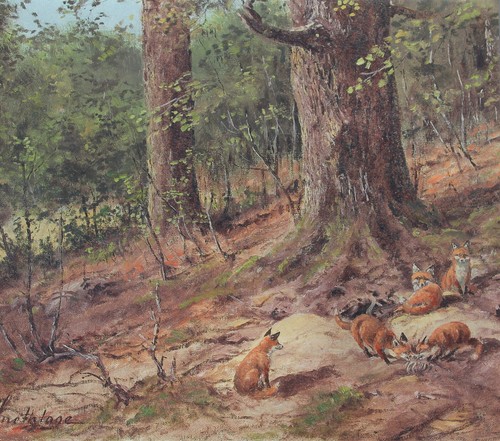 Füchse bau fuchs - am,