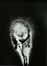 Otto Piene  " SONNENTAU "