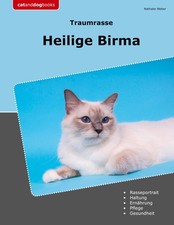 Traumrasse heilige birma - traumrasse,