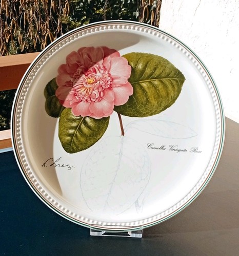 Villeroy boch 97 - '97, camellia