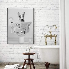 Tier Bilder Badezimmer