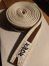 Karate Gürtel Braun Weiß Kinder