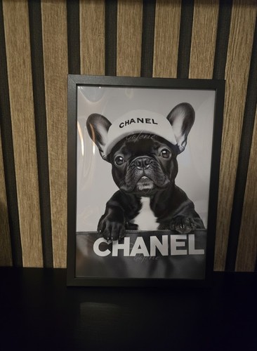 Chanel bulldoge bild mit - bulldoge,