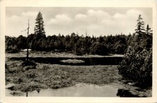 Carlsfeld Erzgeb., Grosser