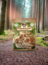 Pilzzucht Impfstäbchen Shiitake