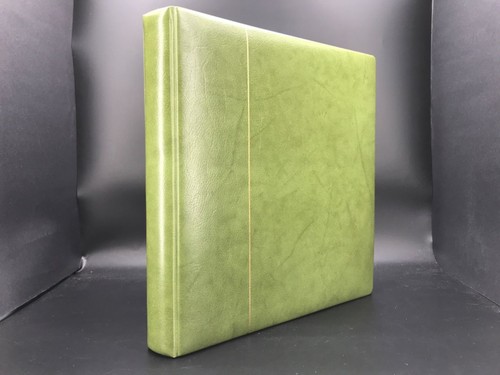 Kabe ringbinder grün 2000 - kabe, rb