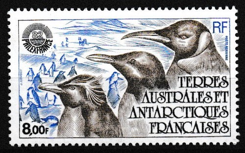 Franz antarktis pinguine - franz.,