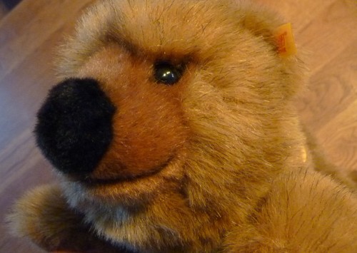 Steiff pummy braunbär - -,