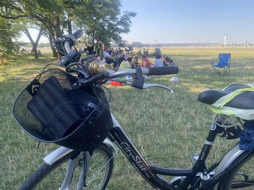 Damen fahrrad zoll - damen,