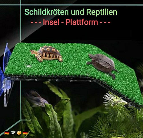 Aquarium terrarium - aquarium,