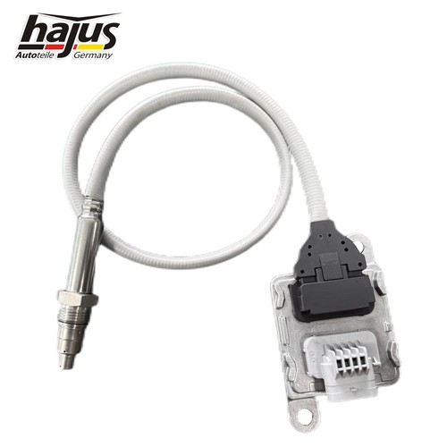 Hajus nox sensor - hajus,