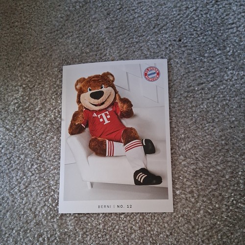 Berni maskottchen - berni,