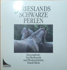 Friesen Pferde Konvolut aus 4