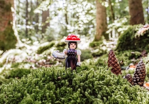 Playmobil 71979 schwarzwald - 71979,
