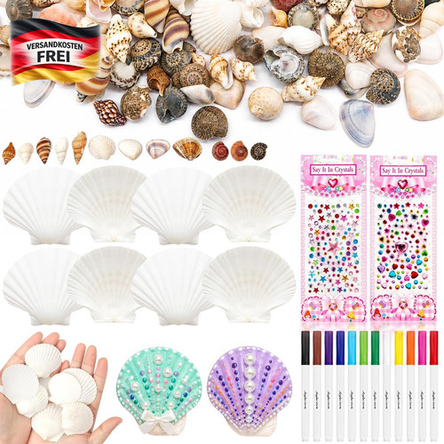 Muscheln zum basteln set - basteln,