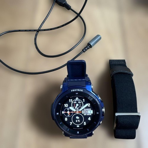Casio pro trek - pro, wsd-f30