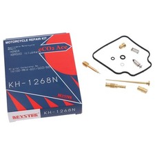 Vergaser Reparatursatz für