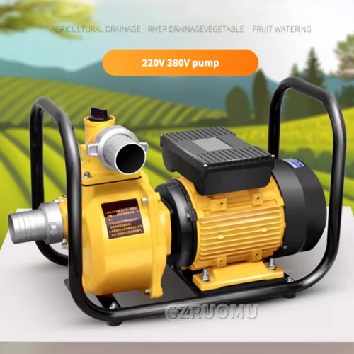 220-V-Wasserpumpe