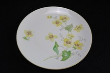 Schöner Kuchenteller von