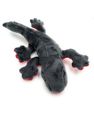 Feuerbauchmolch Molch Leguan