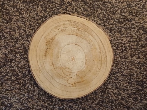 24cm holzscheibe baumstamm - 24cm,