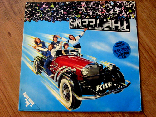 Vinyl12inch the teens - the,