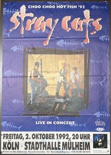 Stray cats original - stray,