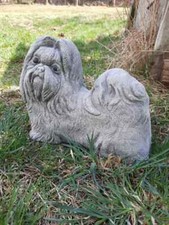 Steinfigur Shih Tzu  Shihtzu Hund  frostfest Gartenfigur Garten Stein groß