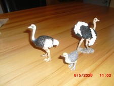 Schleich straussenjunges - schleich, :