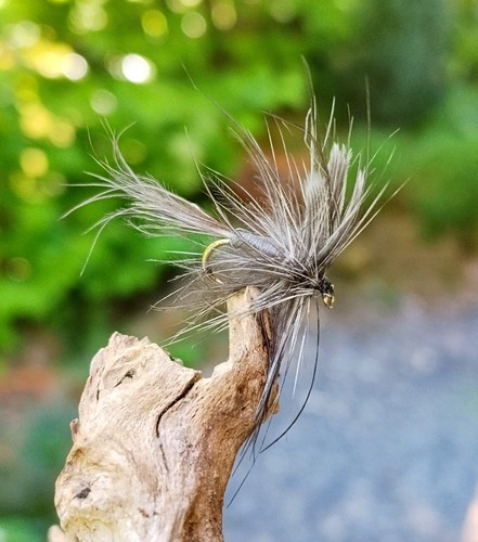 Gilchrist fliegen cdc - fliegen.,