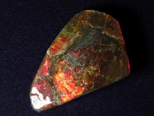 Ammolith  (Kanada)  53,4