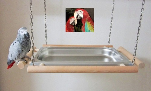 Papageienspielzeug badewanne - papageienspielzeug,,