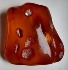 großer baltischer Bernstein