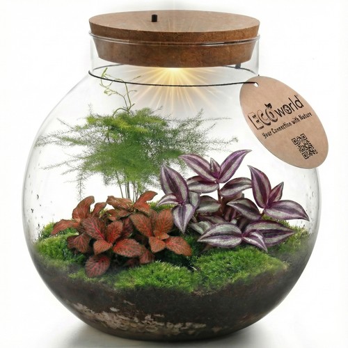 Terrarium groß ø30 - groß,